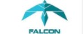 Видеодомофон Falcon